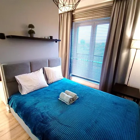 Alfahome Kopcinskiego 罗兹